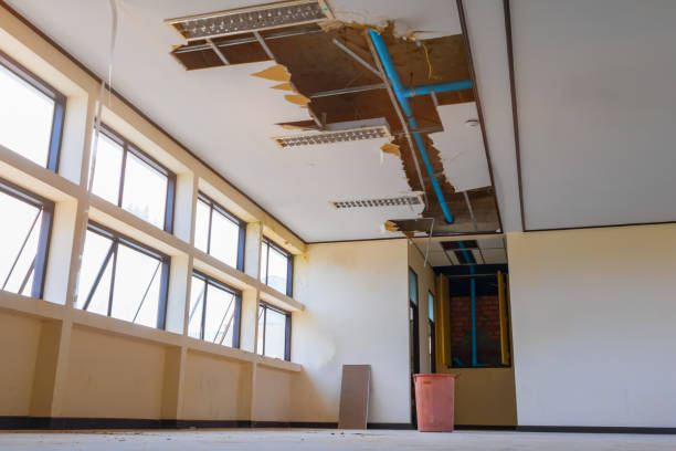Best Water damage repair service  in Liberty City, TX