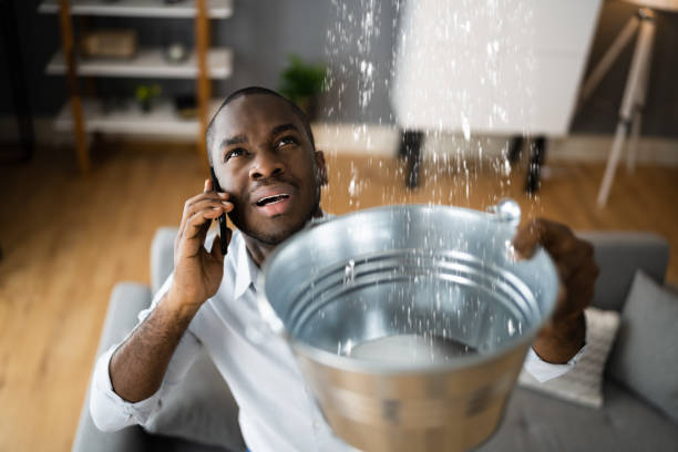 Best Residential water damage restoration  in Liberty City, TX