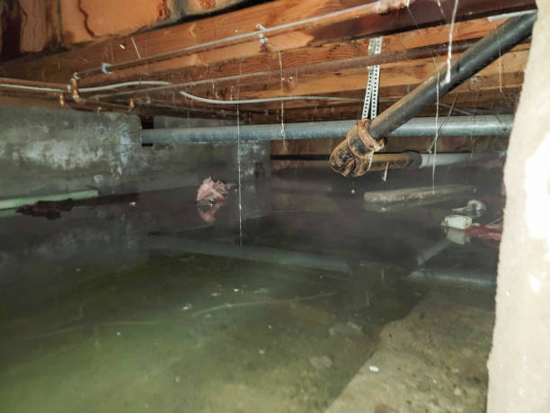  Liberty City, TX Water damage restoration Pros
