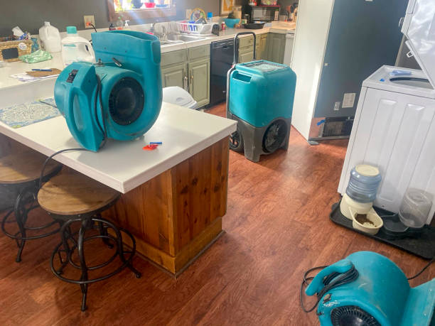 Best Water damage contractors near me  in Liberty City, TX