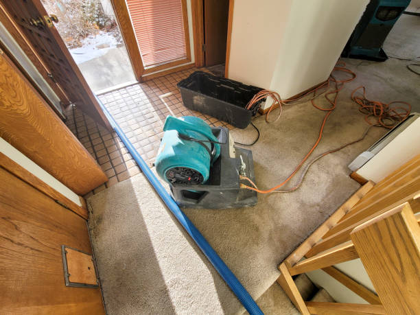 Best Commercial water damage restoration  in Liberty City, TX