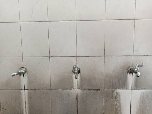 Best Fire Damage Restoration  in Liberty City, TX