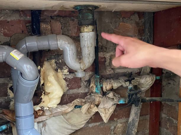 Best Water damage mitigation services  in Liberty City, TX