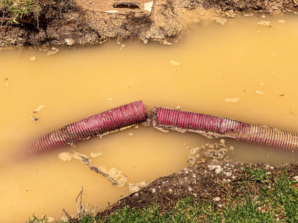 Best Water damage restoration near me  in Liberty City, TX
