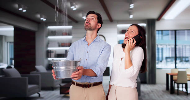 Best Water damage restoration near me  in Liberty City, TX